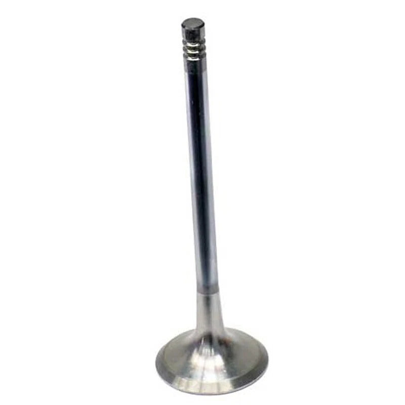 Pierburg 111031 Engine Exhaust Valve